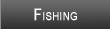 Wilson Lake Fishing